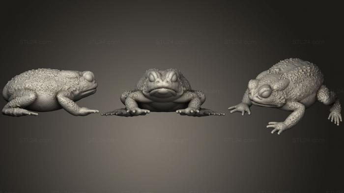 Animal figurines (Resting Toad, STKJ_1414) 3D models for cnc